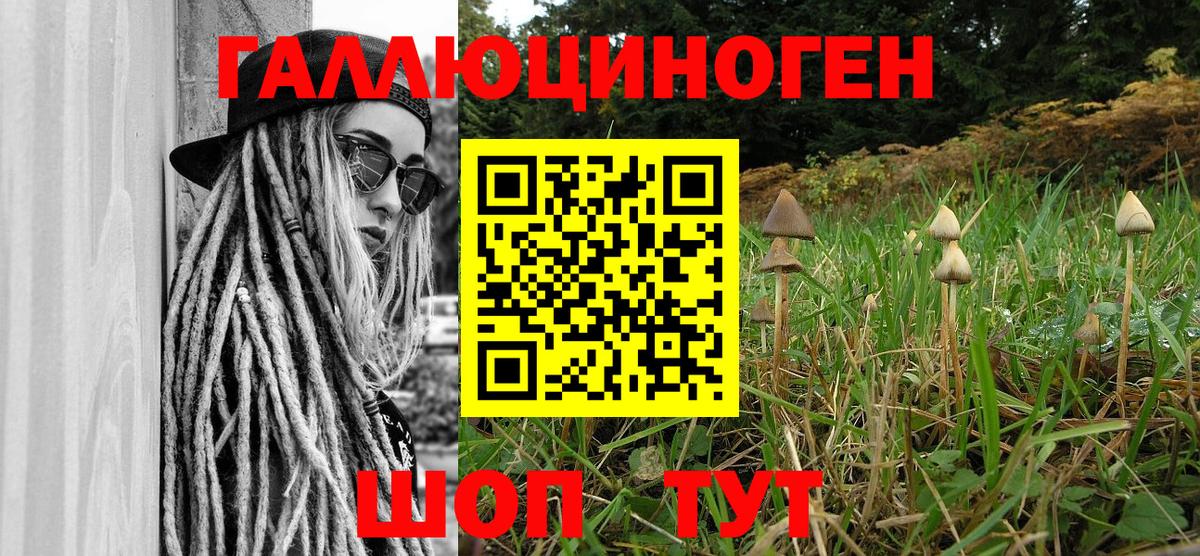 Псилоцибиновые грибы Magic Shrooms  Вход с VPN  Псилоцибиновые грибы MAGIC MUSHROOMS  Верхний Уфалей 