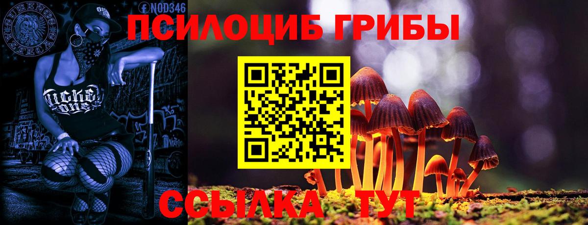Псилоцибиновые грибы Psilocybine cubensis Верхний Уфалей